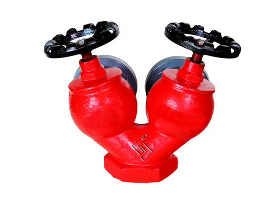 雙閥雙(shuāng)出口室(shi)内消火(huǒ)栓